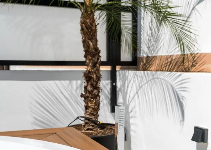 Pj Terraza Privada Banera Exterior Junto Catedral